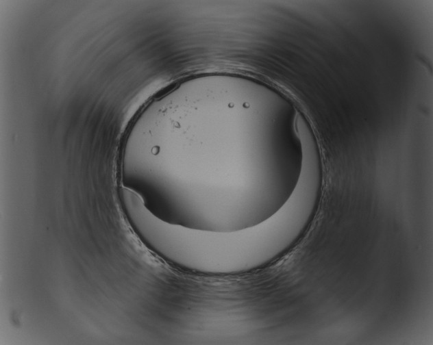 X0000103311138200809261330