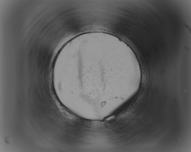 X0000103311144200809261330