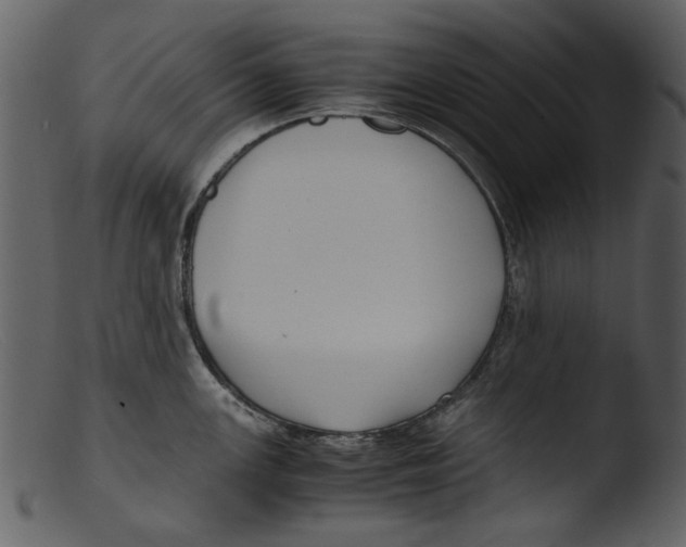 X0000103311147200809261331