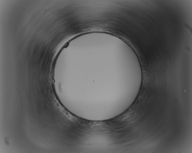 X0000103311148200809261331