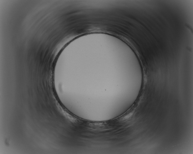 X0000103311149200809261331