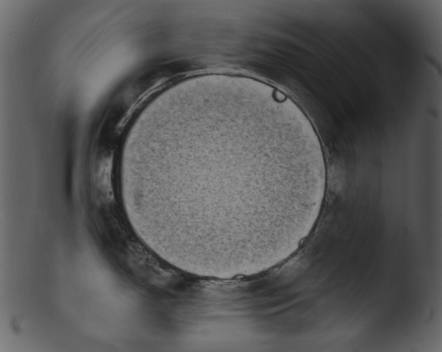 X0000103311150200809261331