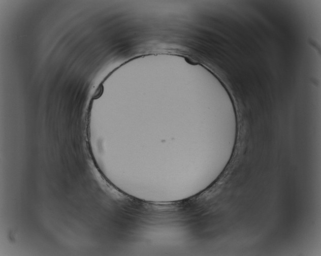 X0000103311152200809261331