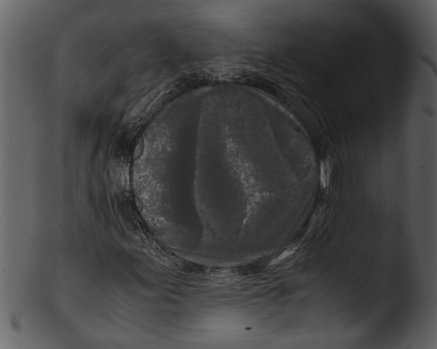 X0000103311155200809261330