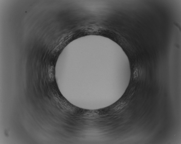 X0000103311156200809261330