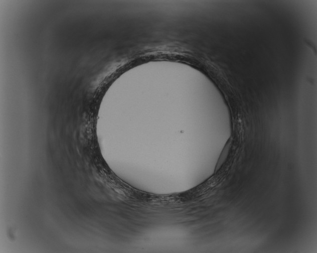 X0000103311159200809261330