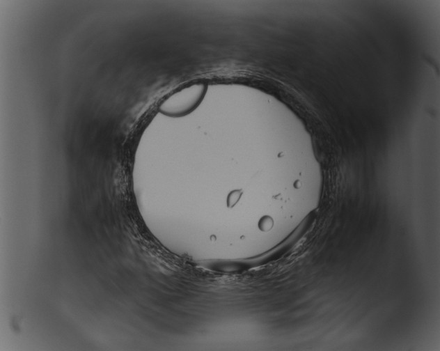 X0000103311160200809261330