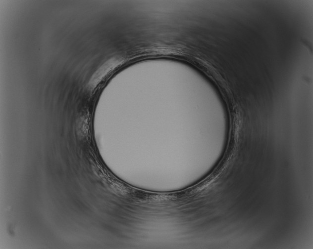 X0000103311163200809261330