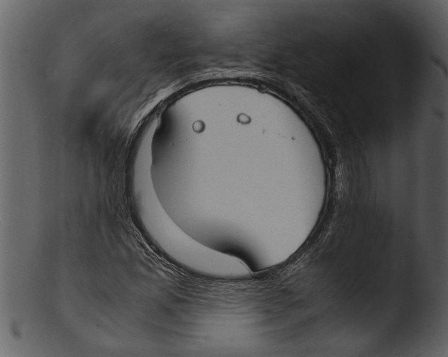 X0000103311165200809261330