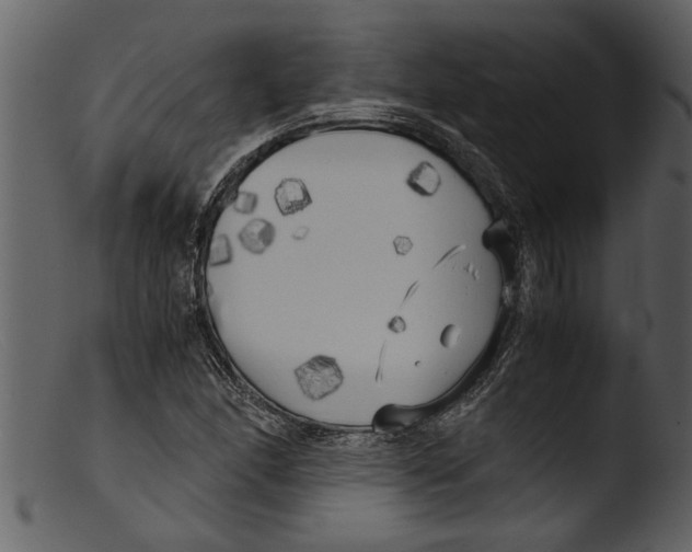 X0000103311166200809261330