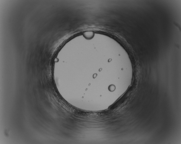 X0000103311167200809261330