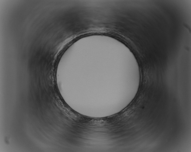 X0000103311168200809261330