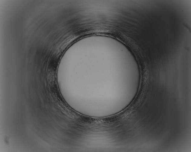 X0000103311169200809261330