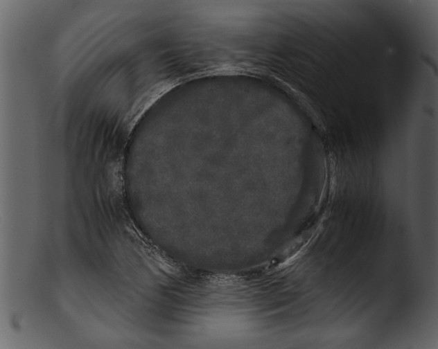 X0000103311170200809261330