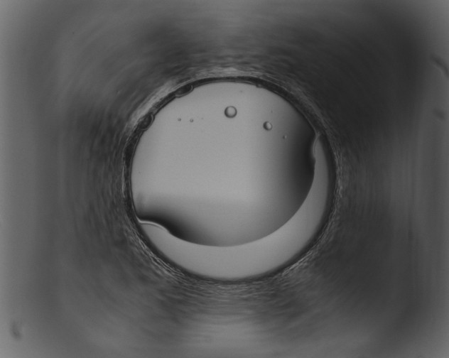 X0000103311173200809261330