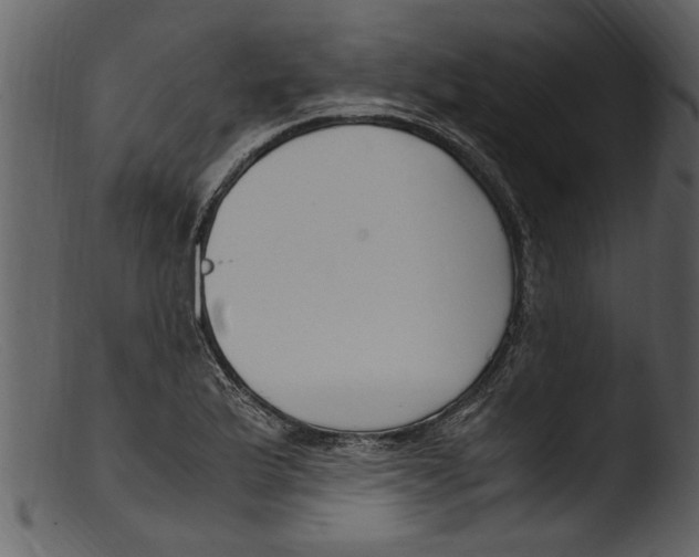 X0000103311175200809261330