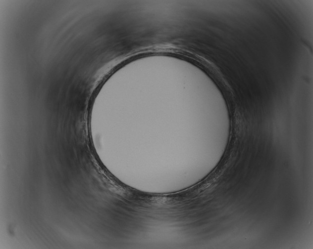 X0000103311176200809261330