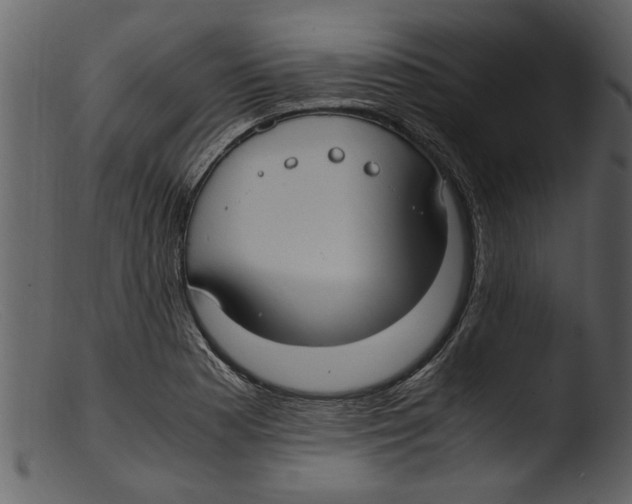 X0000103311177200809261330