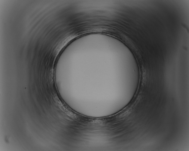 X0000103311178200809261330