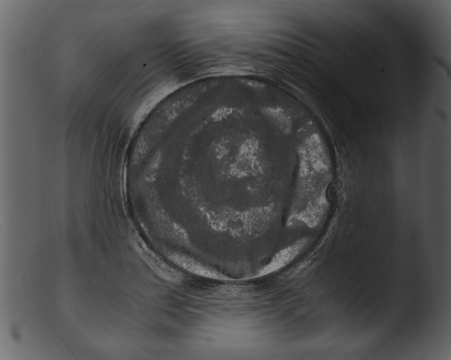 X0000103311179200809261330