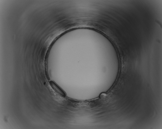 X0000103311181200809261330