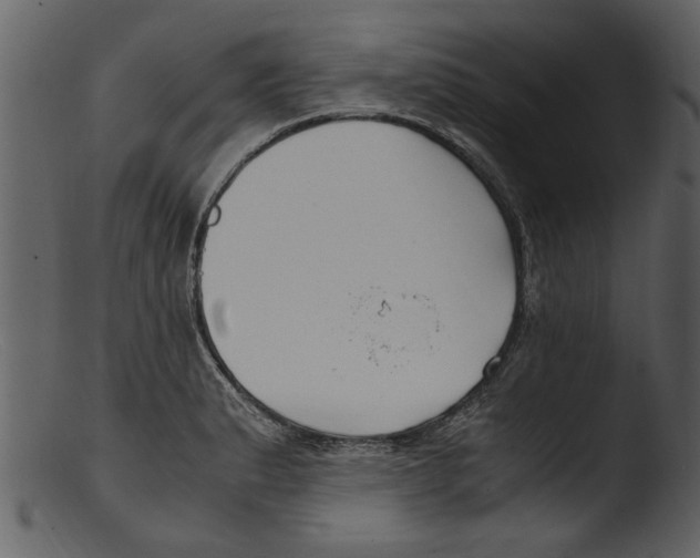 X0000103311183200809261329