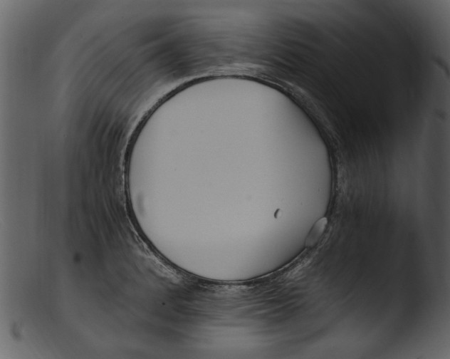 X0000103311184200809261329