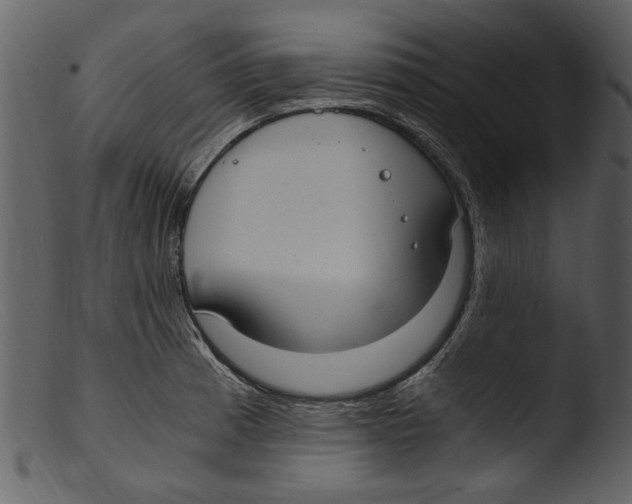 X0000103311185200809261329