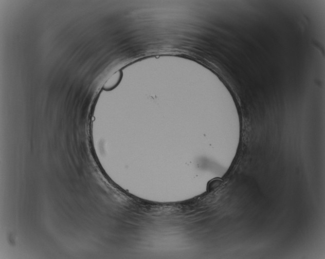 X0000103311187200809261329