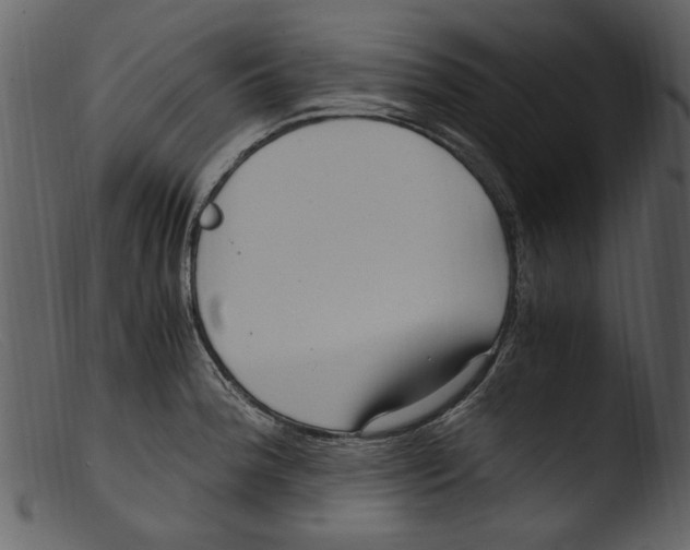 X0000103311188200809261329