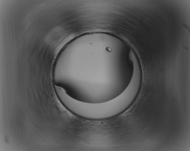 X0000103311189200809261329