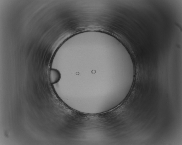 X0000103311190200809261329