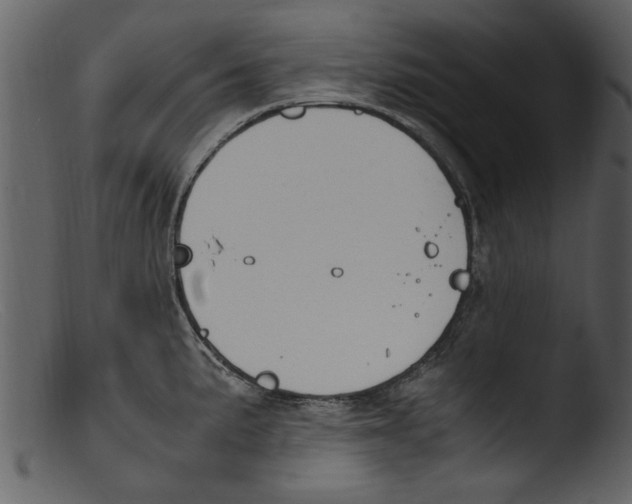 X0000103311191200809261329