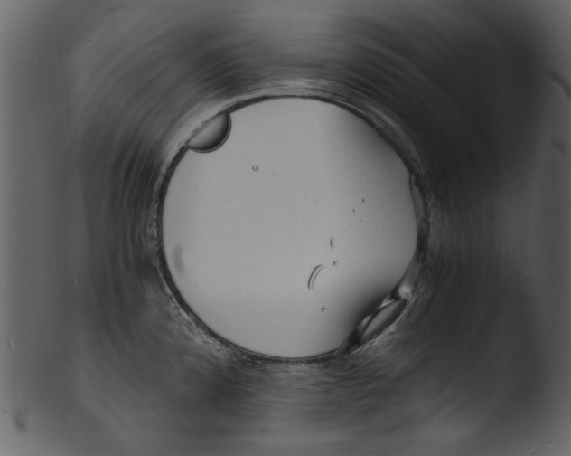 X0000103311192200809261329