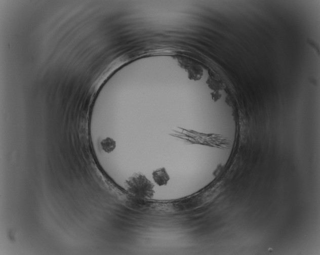 X0000103311194200809261329