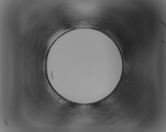 X0000103311195200809261329