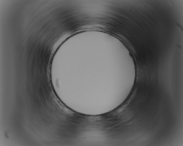 X0000103311196200809261329