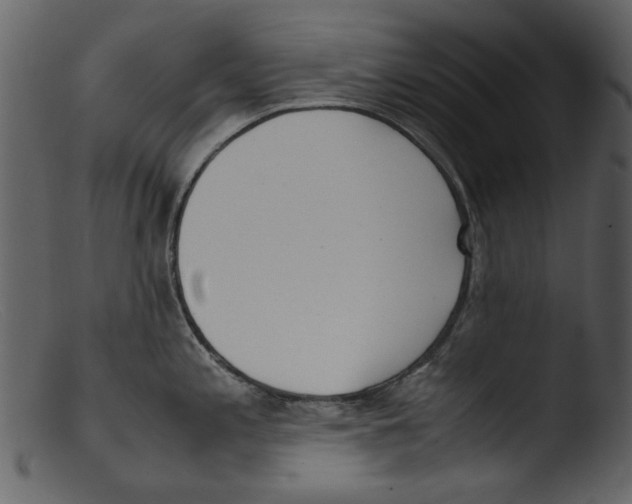 X0000103311197200809261329