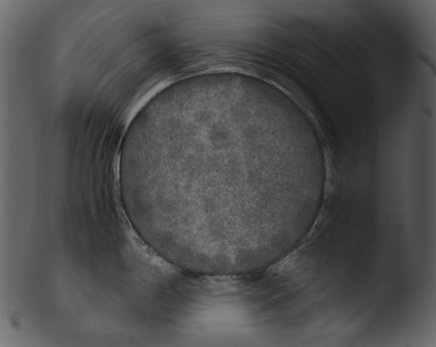 X0000103311198200809261329