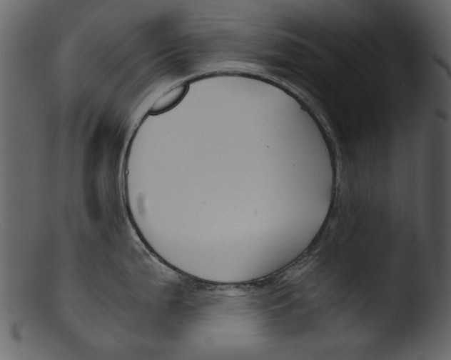 X0000103311199200809261329