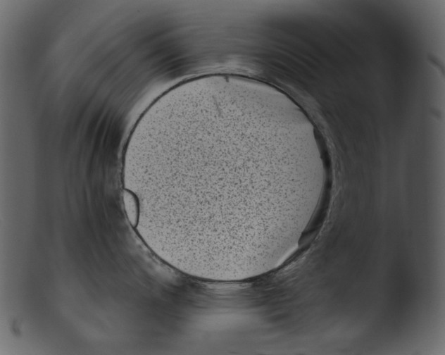 X0000103311200200809261329