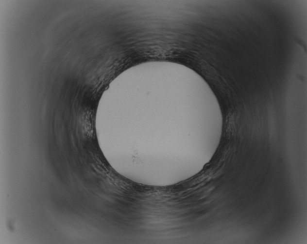 X0000103311202200809261329