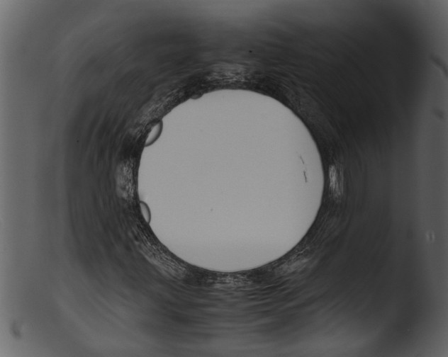 X0000103311203200809261329