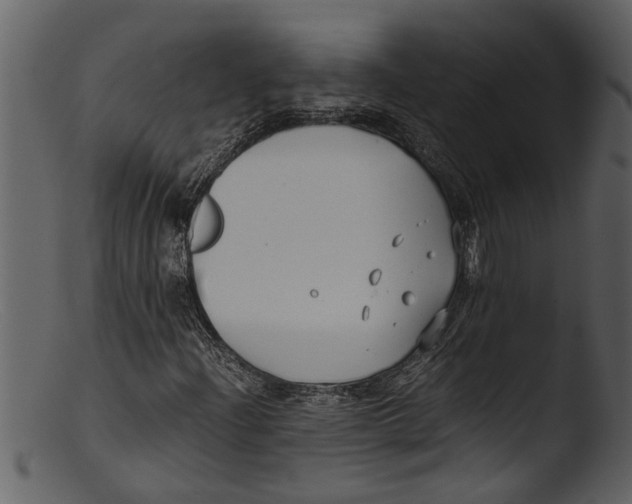 X0000103311204200809261329