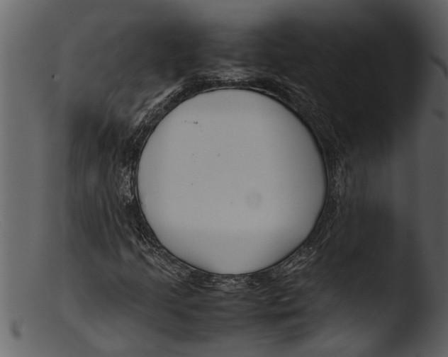 X0000103311205200809261329