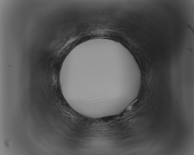 X0000103311206200809261329