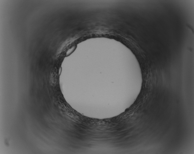 X0000103311207200809261329