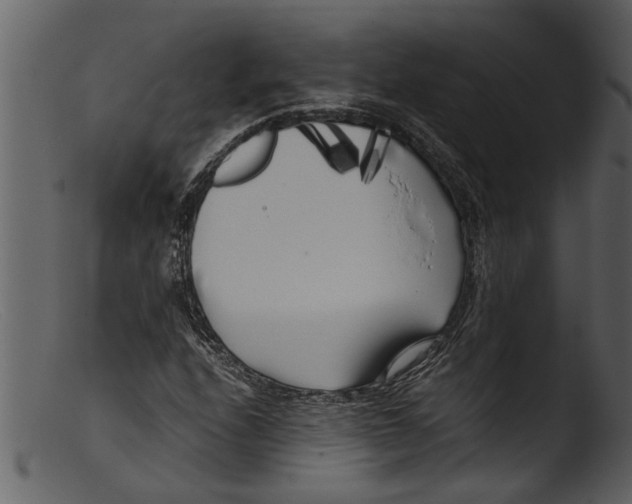 X0000103311208200809261329