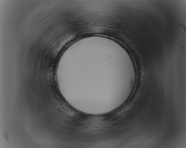 X0000103311210200809261329