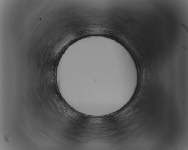 X0000103311211200809261329